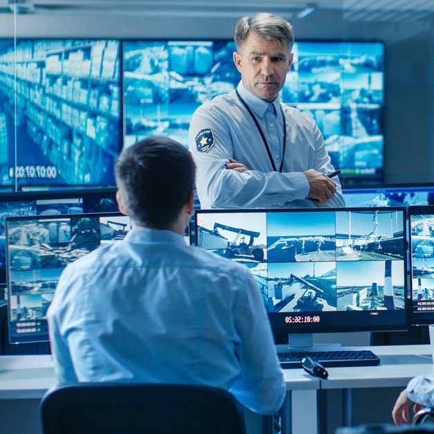 Videosorveglianza e protezione perimetrale